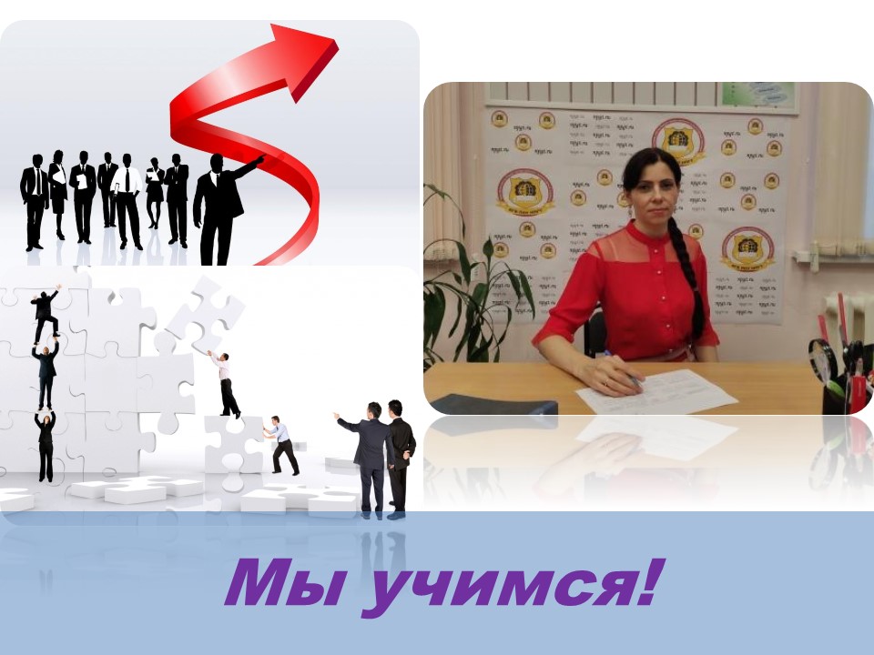 главная